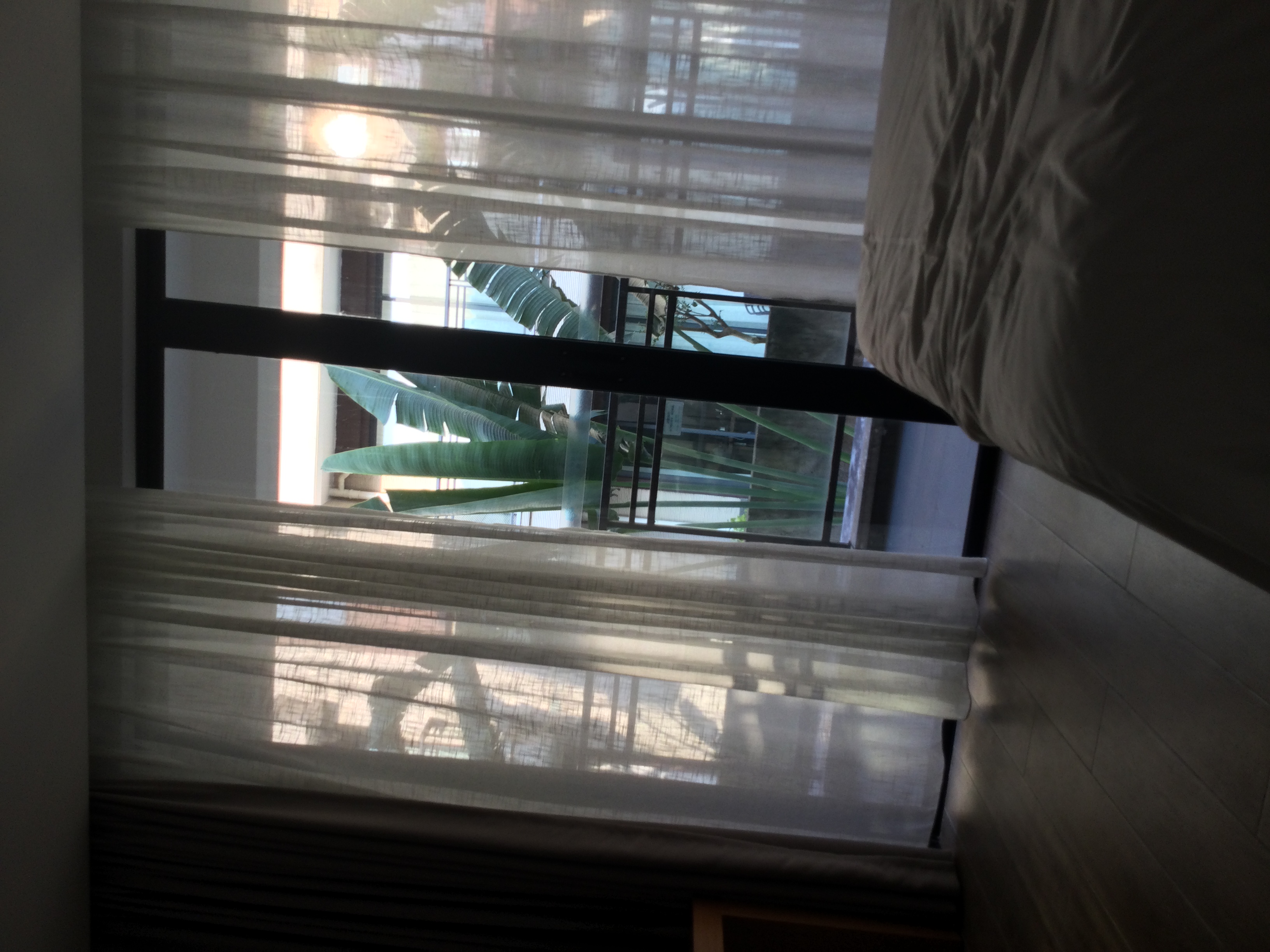 D32B77EF-FFFE-48DA-AF5E-2F117AEA5531.jpeg